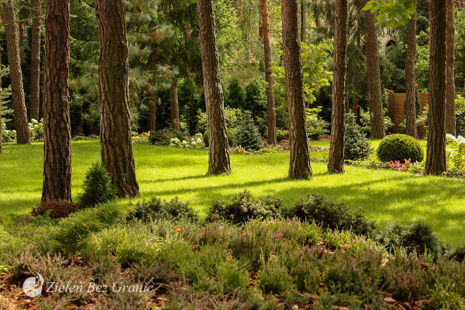 Forest Garden | Magdalenka
