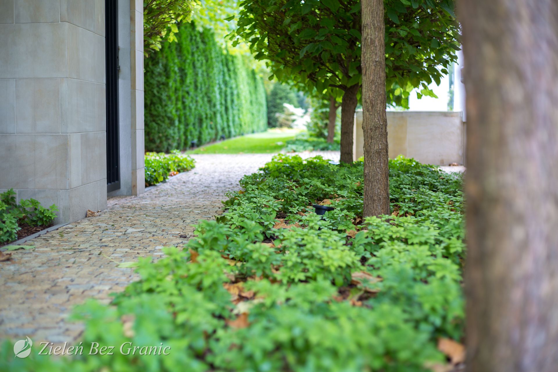 projektowanie ogrodów Warszawa